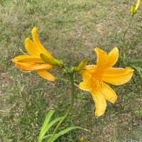 Blooming For Someone (@justonestep2025) 's Twitter Profile
