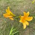 Blooming For Someone (@justonestep2025) Twitter profile photo Blooming For Someone (@justonestep2025) Twitter profile photo