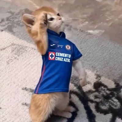 MakinolaAzul's profile picture. 