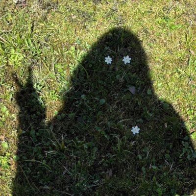 kayeisme's profile picture. 