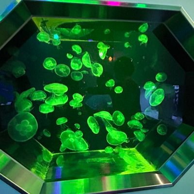 piiishan_hontai's profile picture. 本体垢。※基本的にスペでお話ししたり会ったことある人だけ通してます。#甘党からは抜け出せない※たまに無言フォローするので嫌な方はブロックしてください。お別れの時はきちんとブロ解お願いします。