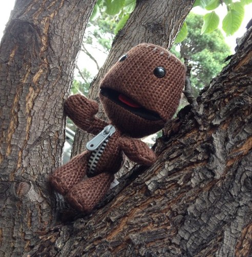 SacksUpTrees's profile picture. I love LBP,sackboys & girls and I love trees. Would love to see other Sacks up trees having fun ;)
