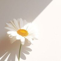 𝒊𝒏 (@jumpolatte) 's Twitter Profile
