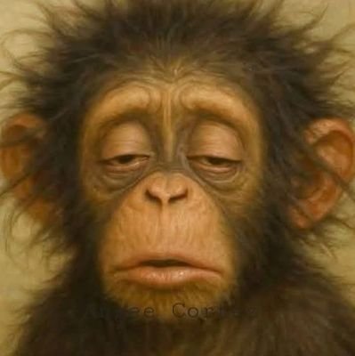 NegroChihu72984's profile picture. 