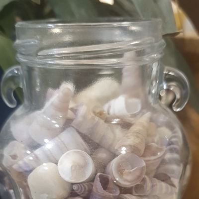 Shak84Attack's profile picture. Me