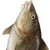 香料小姐| 鹹魚vtype準備中 (@anushka_salted) Twitter profile photo 香料小姐| 鹹魚vtype準備中 (@anushka_salted) Twitter profile photo