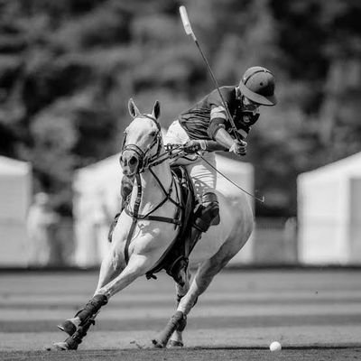 haseeb3547's profile picture. Nuclear Buff | Strategic Expert | Mearchiemr's dime | Polo | Long Live Resistance