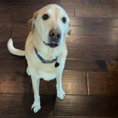 PurplSucks's profile picture. I like to spin with @artgxds