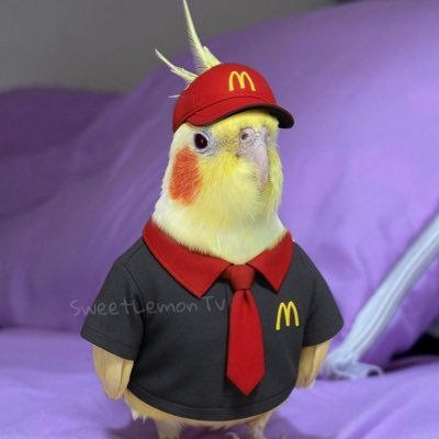 eclairsreloaded's profile picture. Çok şükür bana bir ömür yeter…