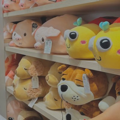 JJane1317863's profile picture. new here, but cheering for you forever     🧡🤍🐻🐻‍❄️✨ #pondphuwin