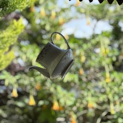 Hope391968's profile picture. रास्ता यहीं से निकलेगा -निष्क्रिय निराशा से..अवसन्न प्रतीक्षा से।