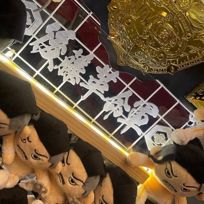 myu_1201__'s profile picture. 歌舞伎町のBAR Destino店長 @destino_bar 🥂新日本プロレス後藤洋央紀選手推し🤭💕2021年3月4日初観戦、どの団体も見ます👀フクロモモンガ𓄛の｢ちゃっぴー｣｢杏仁｣のママになりました♡