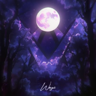 virtue wayne ๐ฎ๐น Profile