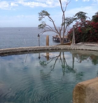 dreamawaylodge's profile picture. 