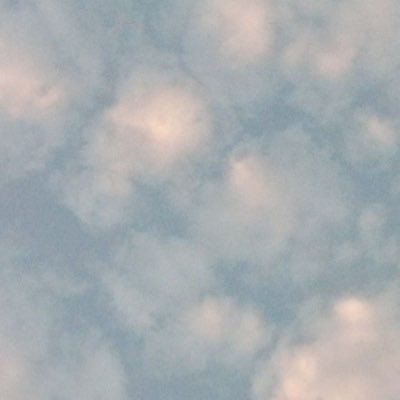 Sanemehehehe's profile picture. in my delusional era