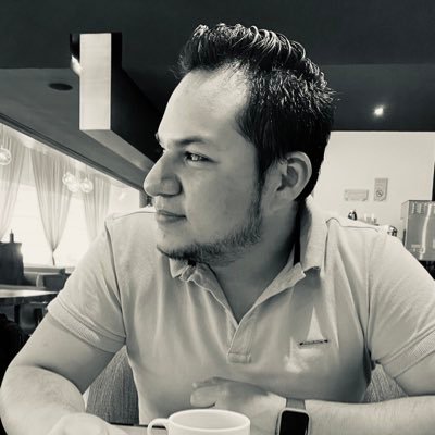 Ingeniero en Cibernética