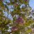 Hiba_Wisam's profile image