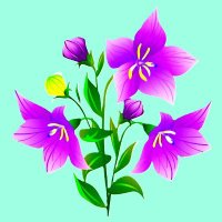 💐ききょう花 (@5tbdi3lsj65f35j) 's Twitter Profile Photo 💐ききょう花 (@5tbdi3lsj65f35j) 's Twitter Profile Photo