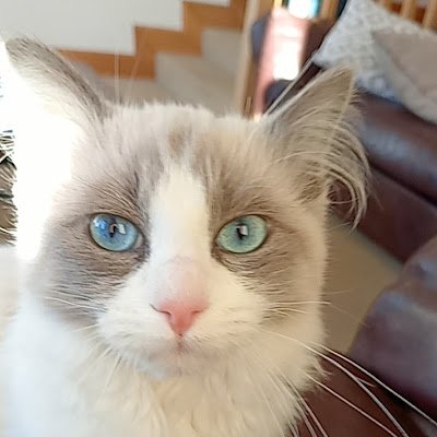 ReubenLees12831's profile picture. 