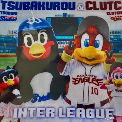 りょう@野球ファン🐧🦅さんのプロフィール画像