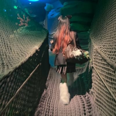 藍音@受験勉強中低浮上さんのプロフィール画像