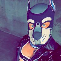 pup_andri (@pup_andri) 's Twitter Profile