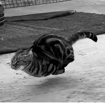 krabban15's profile picture. 