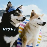 k h a (@harurah_haru) 's Twitter Profile Photo k h a (@harurah_haru) 's Twitter Profile Photo