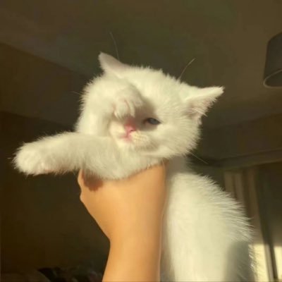 shiwu7771's profile picture. 