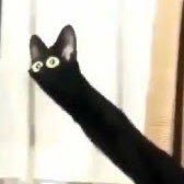 ウィンターさんのプロフィール画像