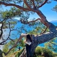 Iderter (@iderter4996) 's Twitter Profile