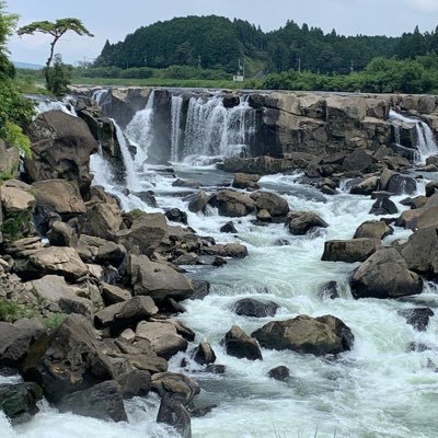 yossy3190's profile picture. ＃家族の絆を大切に #世界平和 #多肉植物愛好家 #スパイ防止法制定 #LGBT法案反対 #夫婦別姓反対 #外国人参政権反対 #DM❎🙏