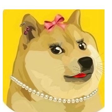 DogeOS_Women's profile picture. 