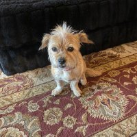 Sookie22 (@sookie2211) 's Twitter Profile