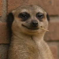 BRYAN M π (@_afortundo) 's Twitter Profile
