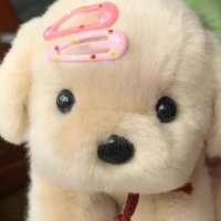 mavi ♡ (@softleaflet) 's Twitter Profile