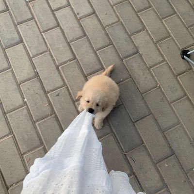 와구さんのプロフィール画像