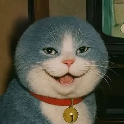 SeriousguyIDK's profile picture. 