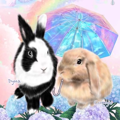 🐱4にゃん🐰2ぴょん(お月様🌕🌈在住)のママさんのプロフィール画像