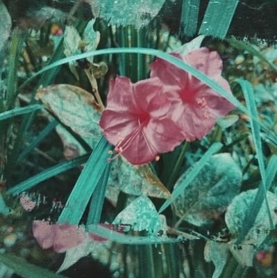 SanyaSandu34004's profile picture. 