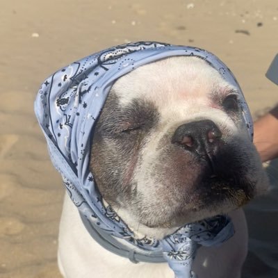 luuciaesc1's profile picture. 