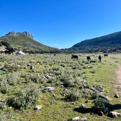 gj_fg6's profile picture. FOLOW BACK💯%