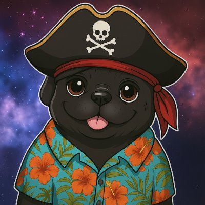 Your friendly hacker pal and Immunefi Island event architect! Join 122 SRs hunting on the high seas! 🌺 🏝️ @immunefi