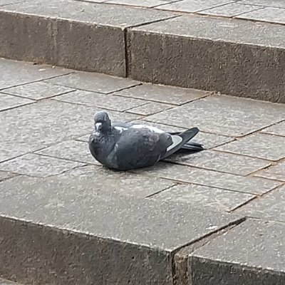 _G_G______'s profile picture. 総人