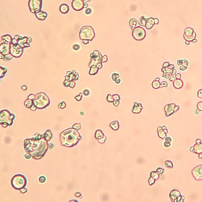 pcw1203's profile picture. パーマネントを夢見るポスドクの人