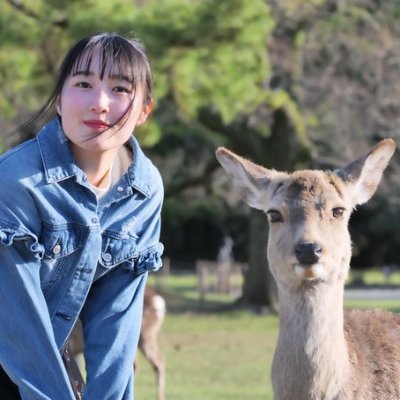 奈良県民
まなルンのお隣さん🏡、306号室住民🍅🍠🏡
アップした写真については被写体本人及び、その関係者以外の無断転用をお断りいたします。
無言フォロー基本お断り。