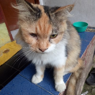 RioFebrian27193's profile picture. What do you expect