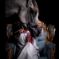 مُھَـــنَّدْ⚜🇸🇦 (@mhnd0891) 's Twitter Profile