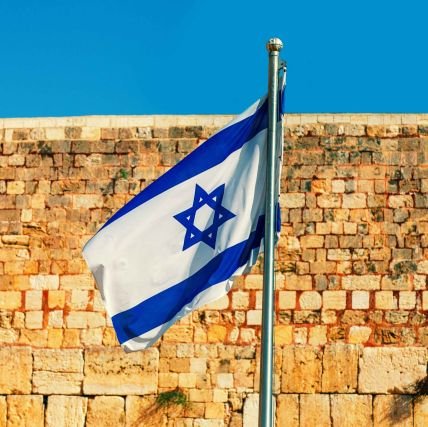 areilori's profile picture. Defender of Israel 🇮🇱