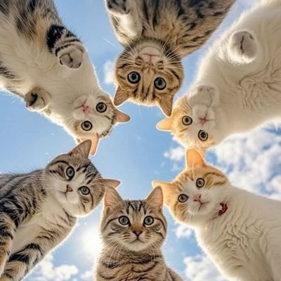 Karanlık karanlığı uzaklaştıramaz; bunu ancak ışık yapabilir. Nefret nefreti uzaklaştıramaz; bunu ancak sevgi yapabilir..
(M. Luther ki)
🇹🇷🇬🇷🇮🇹🇩🇪